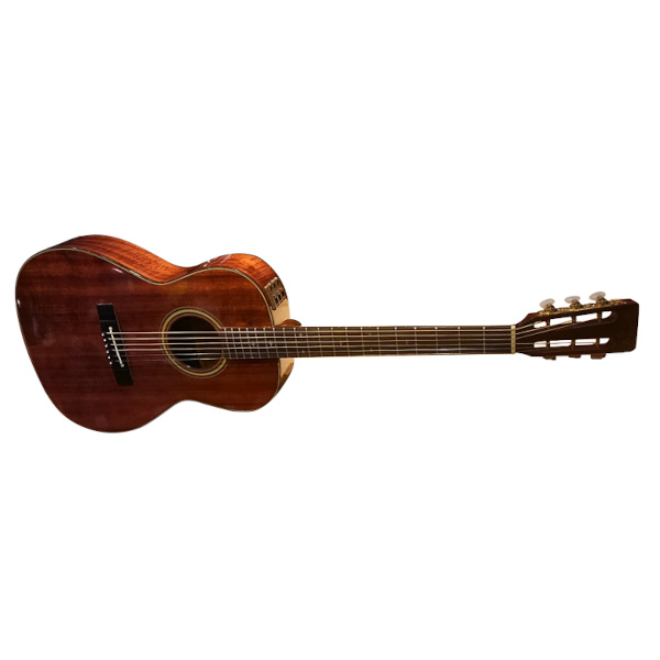 Takamine エレアコPTU010