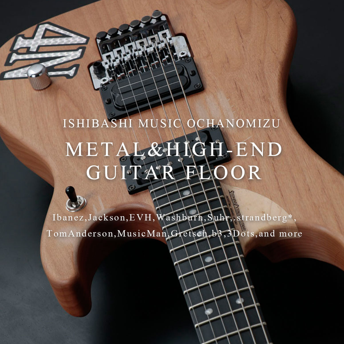 御茶ノ水本店 METAL&HIGH-END GUITAR FLOOR：アコースティックギター 
