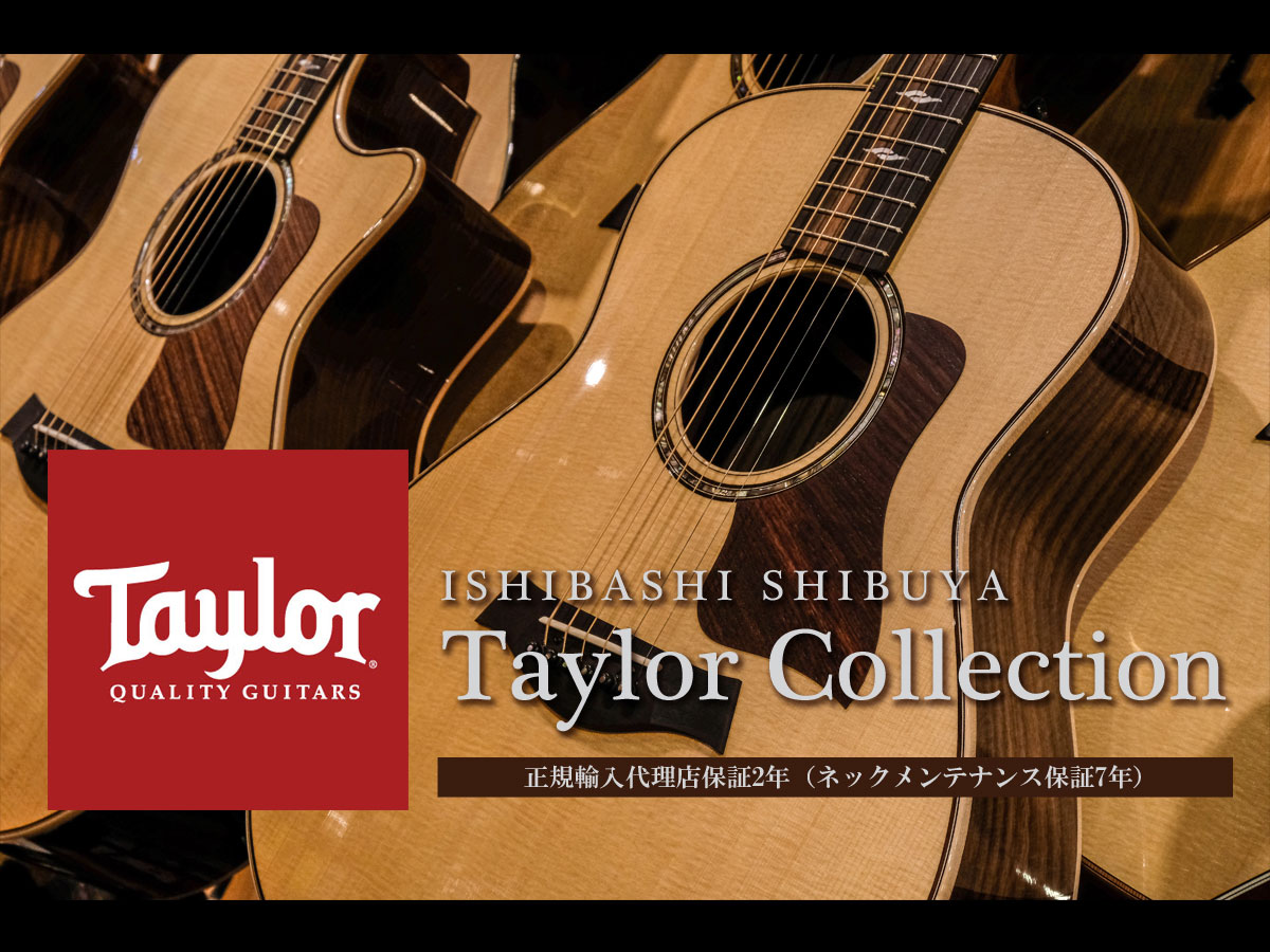 渋谷店アコースティックギターフロア Taylor Guitars
