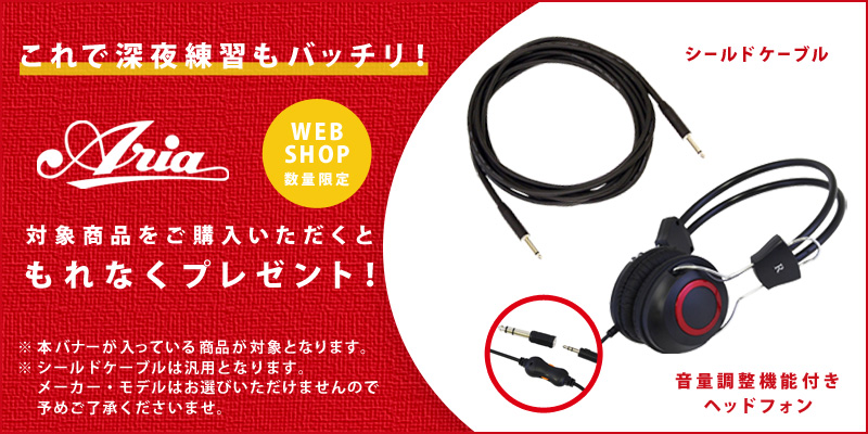 YAMAHA / THR30IIA Wireless 【アコギ/エレアコ用ギターアンプ