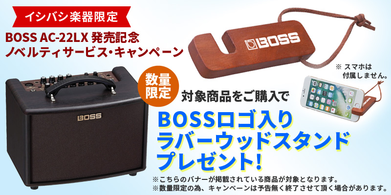 Roland / AC-33-RW Acoustic Chorus 【BOSS FS-6/FS-5Uつき