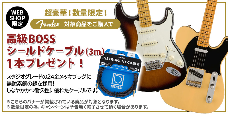 Fender USA / Jeff Beck Stratocaster Olympic White American Artist