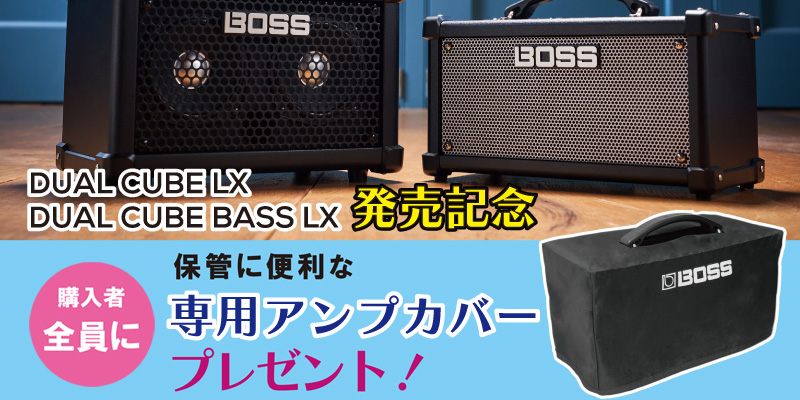 BOSS / DUAL CUBE LX D-CUBE LX Guitar Amplifier ギターアンプ ボス