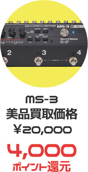 MS-3