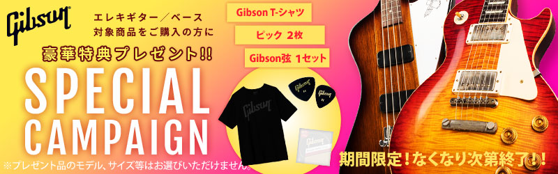Gibson | SPECIAL CAMPAIGN