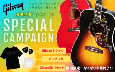 Gibson Acoustic | SPECIAL CAMPAIGN