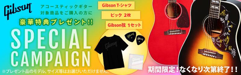 Gibson Special Campaign