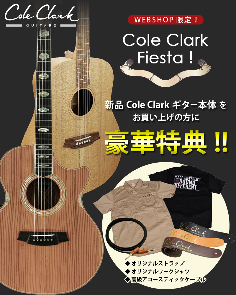 Cole Clark Fiesta！【イシバシ楽器】