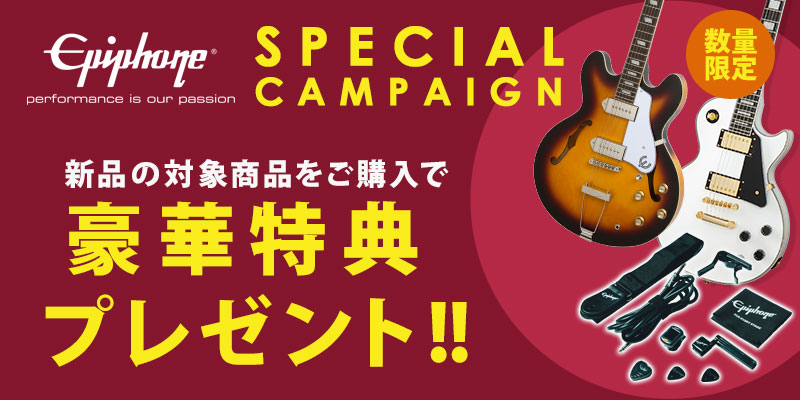 Epiphone エピフォン / Limited Edition ES-335 Pro IT エレキギター