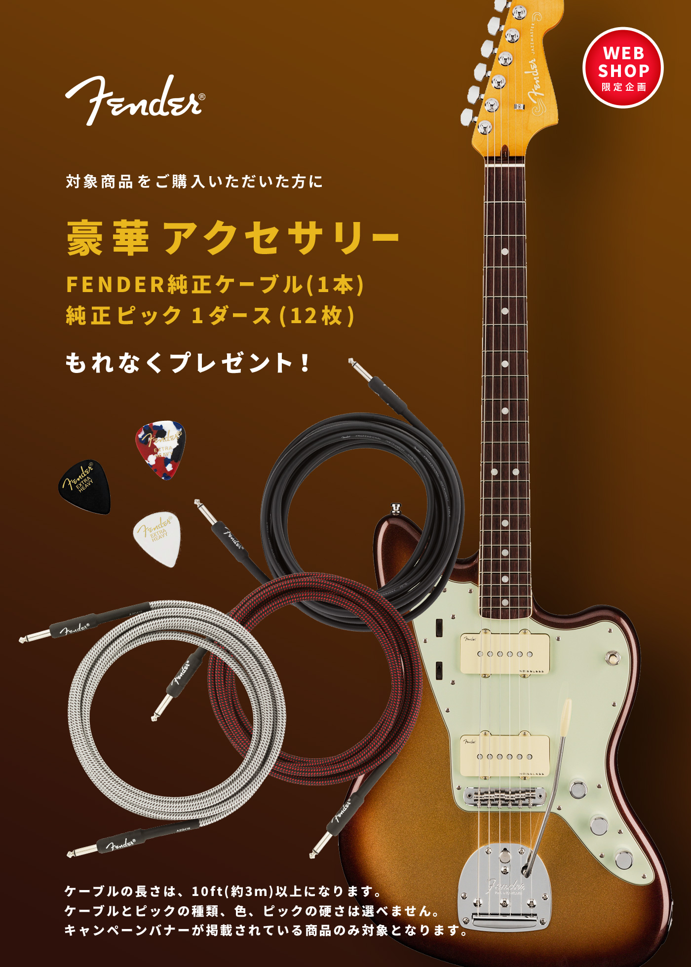 Fender | 豪華アクセサリー（純正TWEEDケーブル1本＆純正ピック1ダース）プレゼント！【イシバシ楽器】