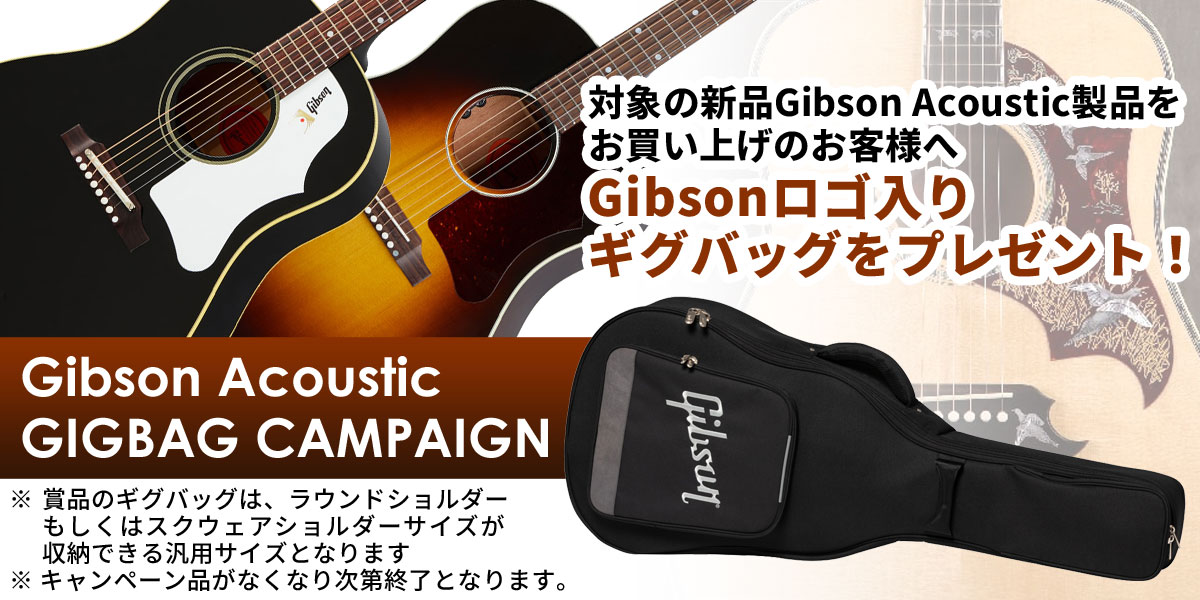 Gibson Acoustic ギグバッグ・キャンペーン】一覧 | イシバシ楽器