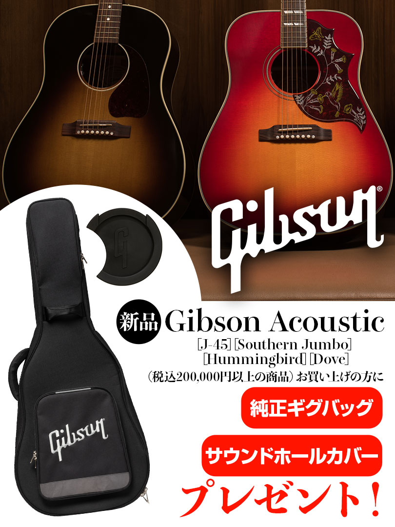 Gibson Acoustic WINTER CAMPAIGN