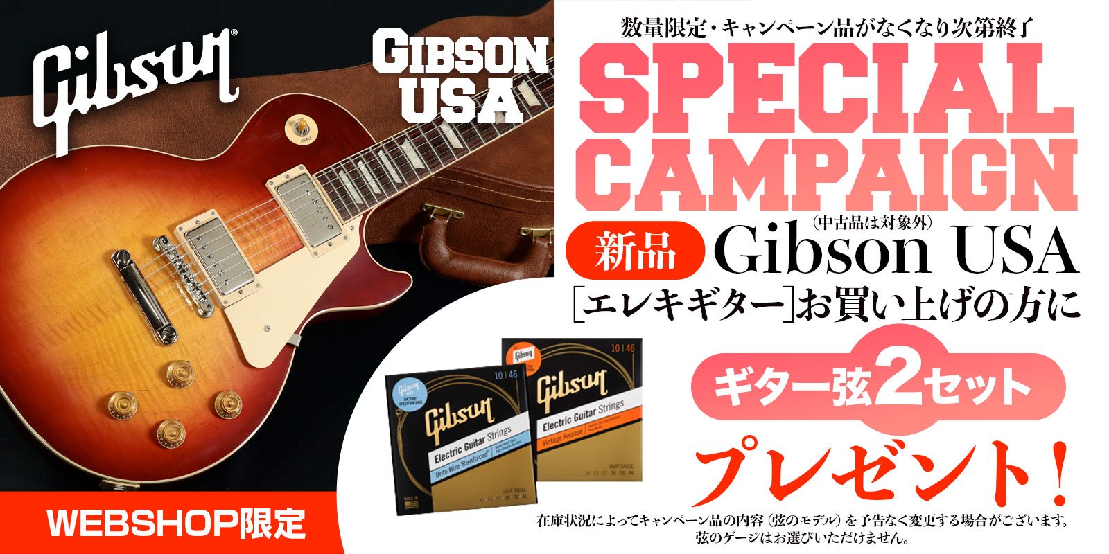 Gibson USA SPECIAL CAMPAIGN
