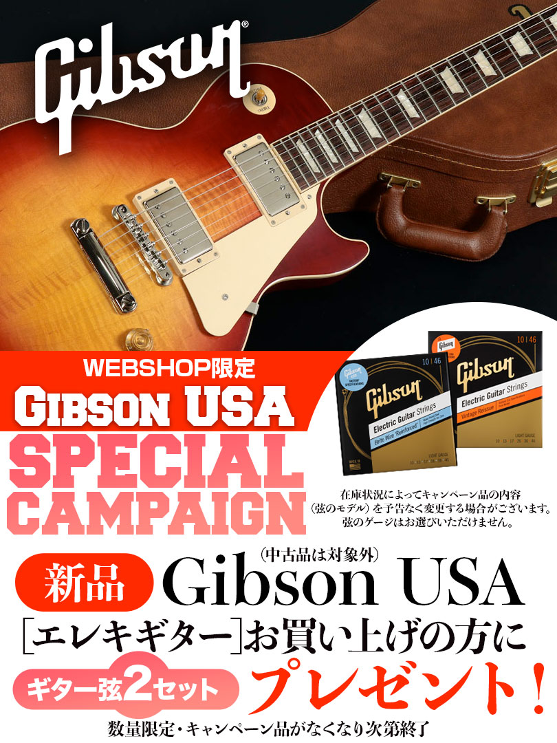 Gibson USA SPECIAL CAMPAIGN