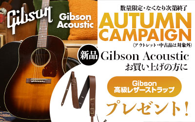 Gibson Acoustic AUTUMN CAMPIGN 2024