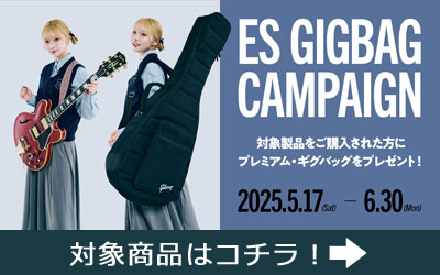 Gibson ES ギグバッグ・キャンペーン