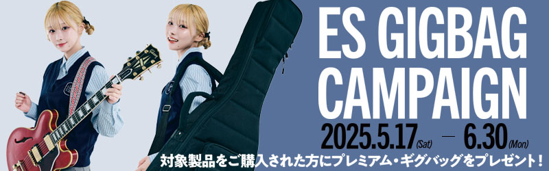 Gibson ES ギグバッグ・キャンペーン