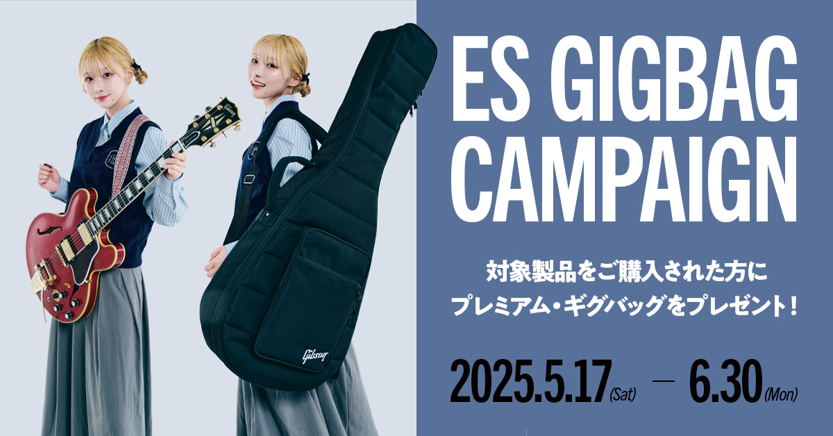 Gibson ES GIG BAG CAMPAIGN
