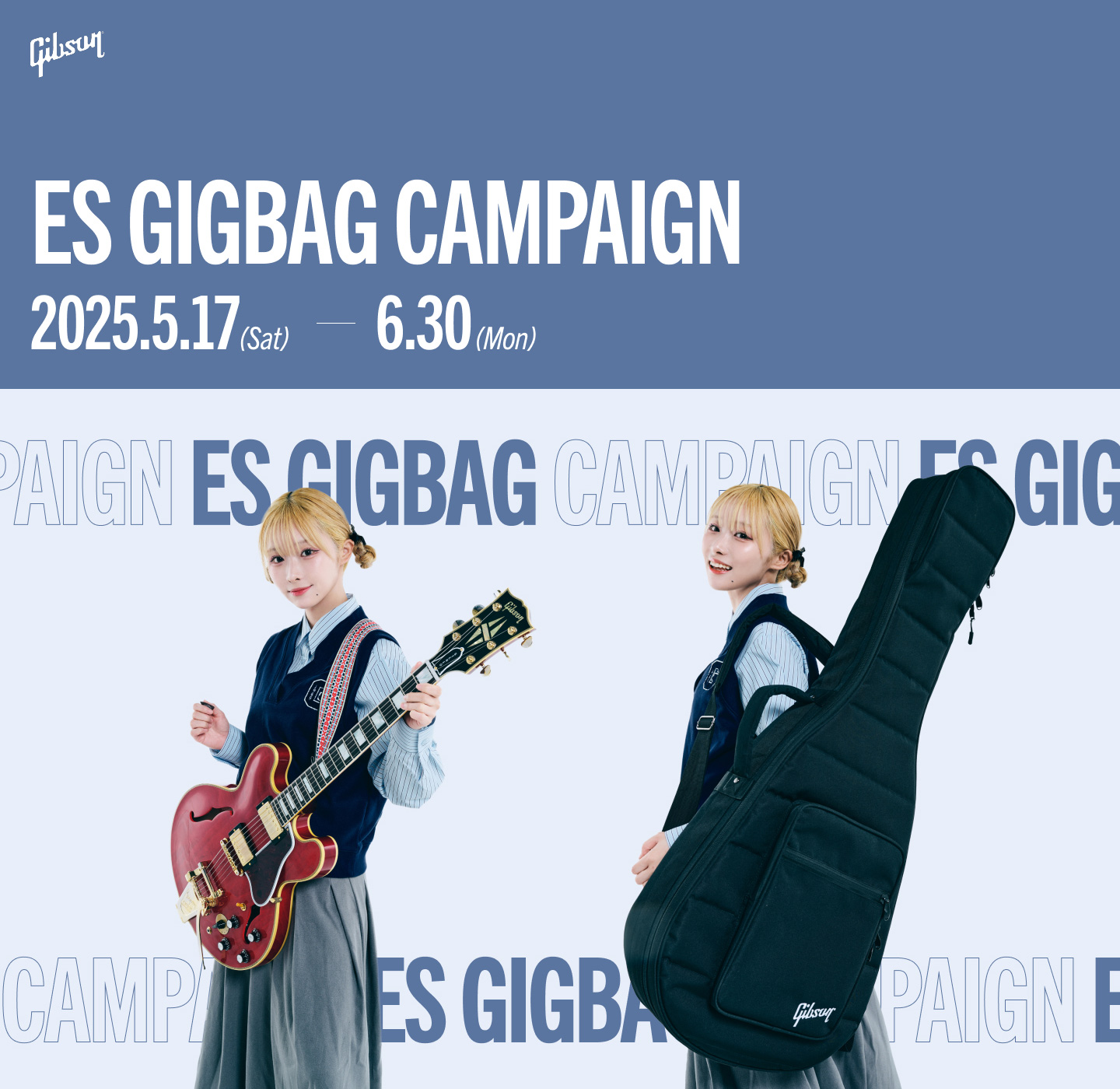 Gibson ES GIG BAG CAMPAIGN