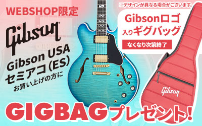 WEBSHOP限定 Gibson USA ES GIG BAG CAMPAIGN