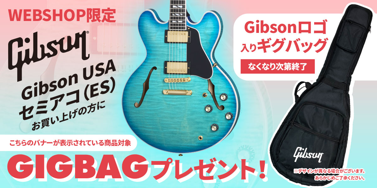 BLITZ ES-335タイプ セミアコ 実力派重視】BLITZ セミアコ ES-335