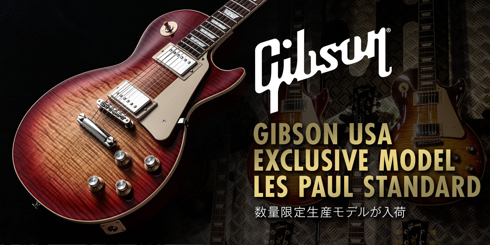 Gibson USA Exclusive Model Les Paul Standard 国内数量限定モデル