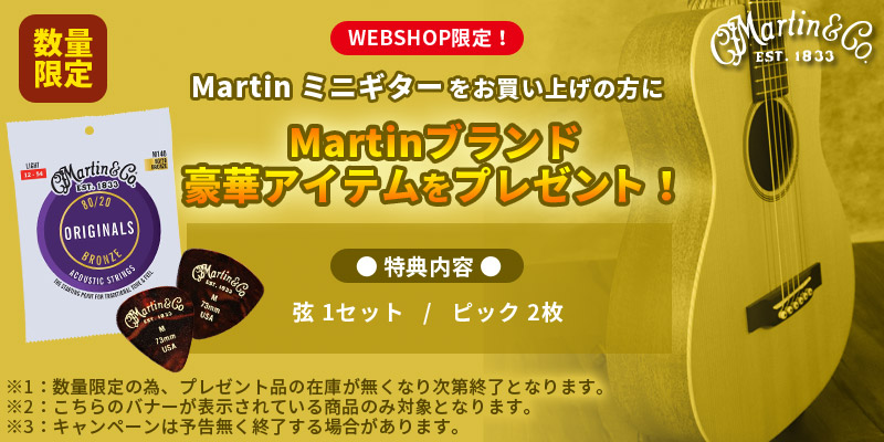 Martin / LX1E 【Xシリーズ/Little Martin/正規輸入品】 マーティン