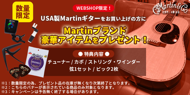 Martin / Standard Series D-28 Satin USA製 マーティン マーチン