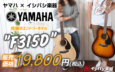 YAMAHA F315D ヤマハ × イシバシ楽器コラボ　入門向けアコースティックギター