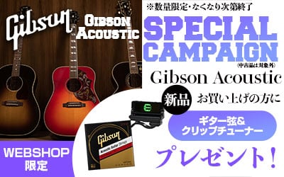 Gibson Acoustic SPECIAL CAMPAIGN