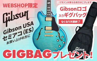 Gibson USA ES GIG BAG CAMPAIGN