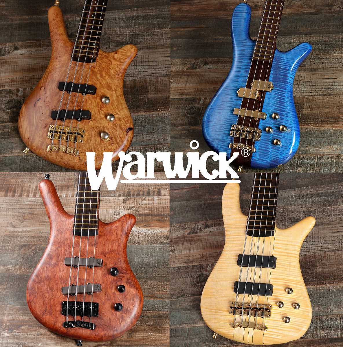 ワーウィックWarwick サムベースThumb Bass 4弦 スルーネック - ベース