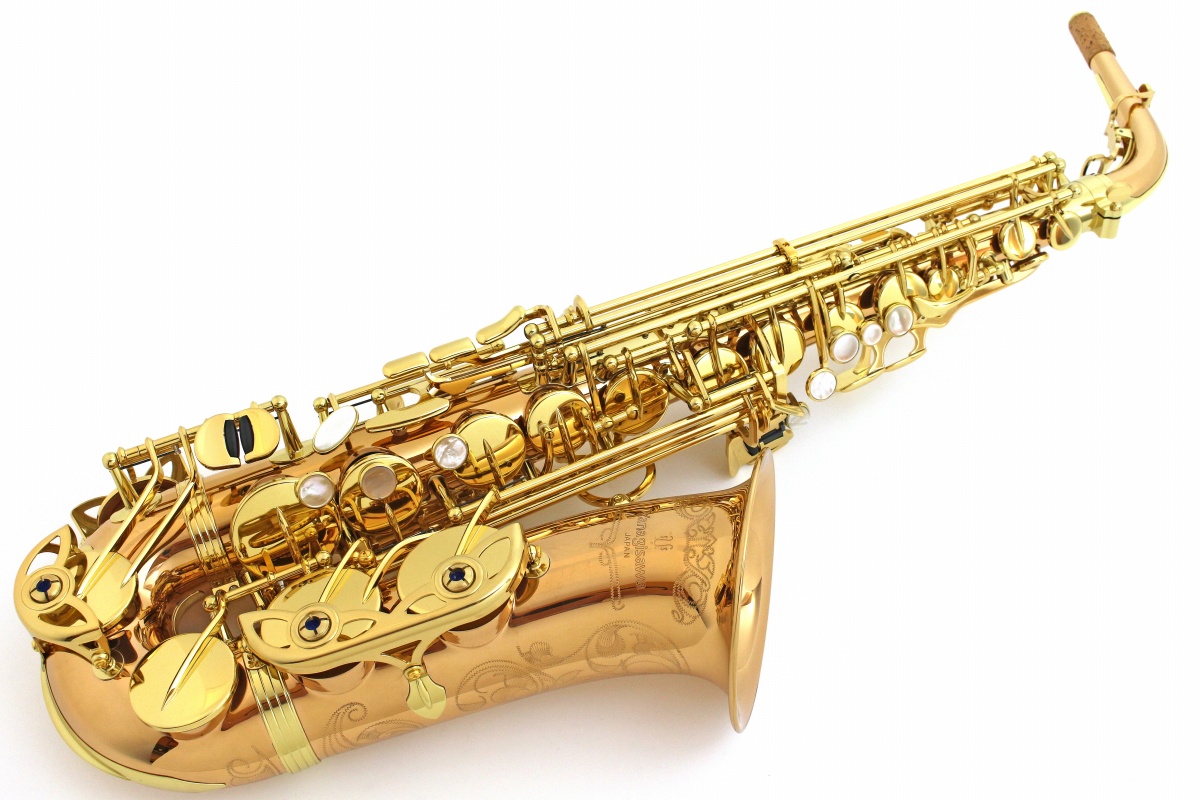 【新品人気SALE】YANAGISAWA A-WO2 アルトサックス ケース付き 管器 ヤナギサワ 中古 S6517617 アルトサックス