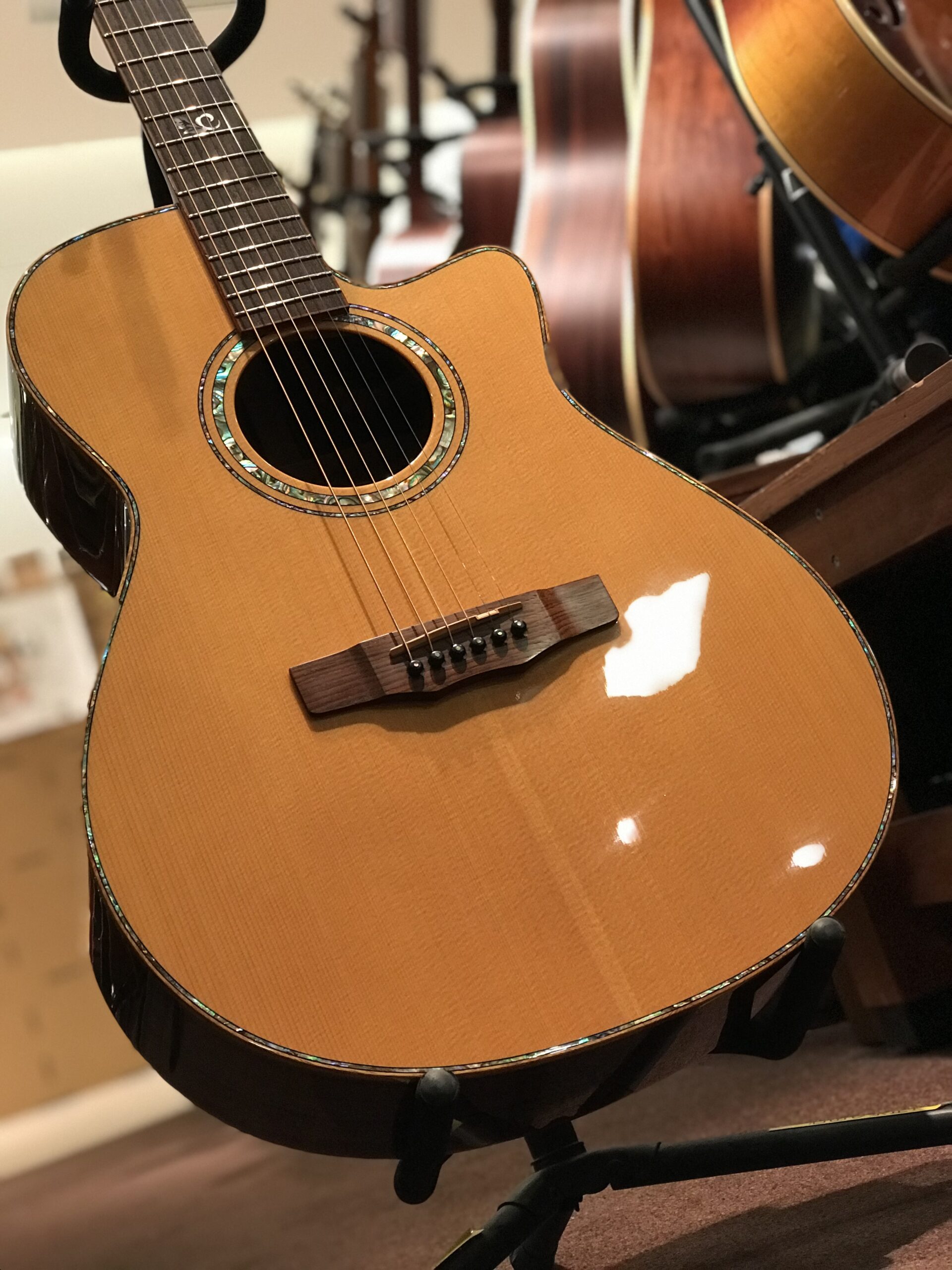 HAND MADE PREMIUM Series | MORRIS GUITARS