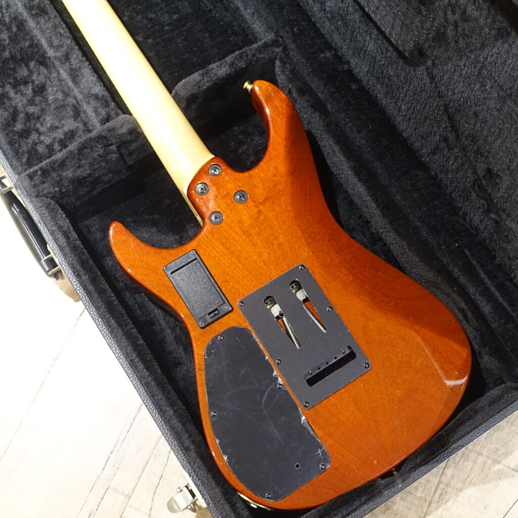 中古】P-Project / PSG Prote Sustainer STO See Thru Orange【3.8kg】 |  イシバシ楽器スタッフブログ