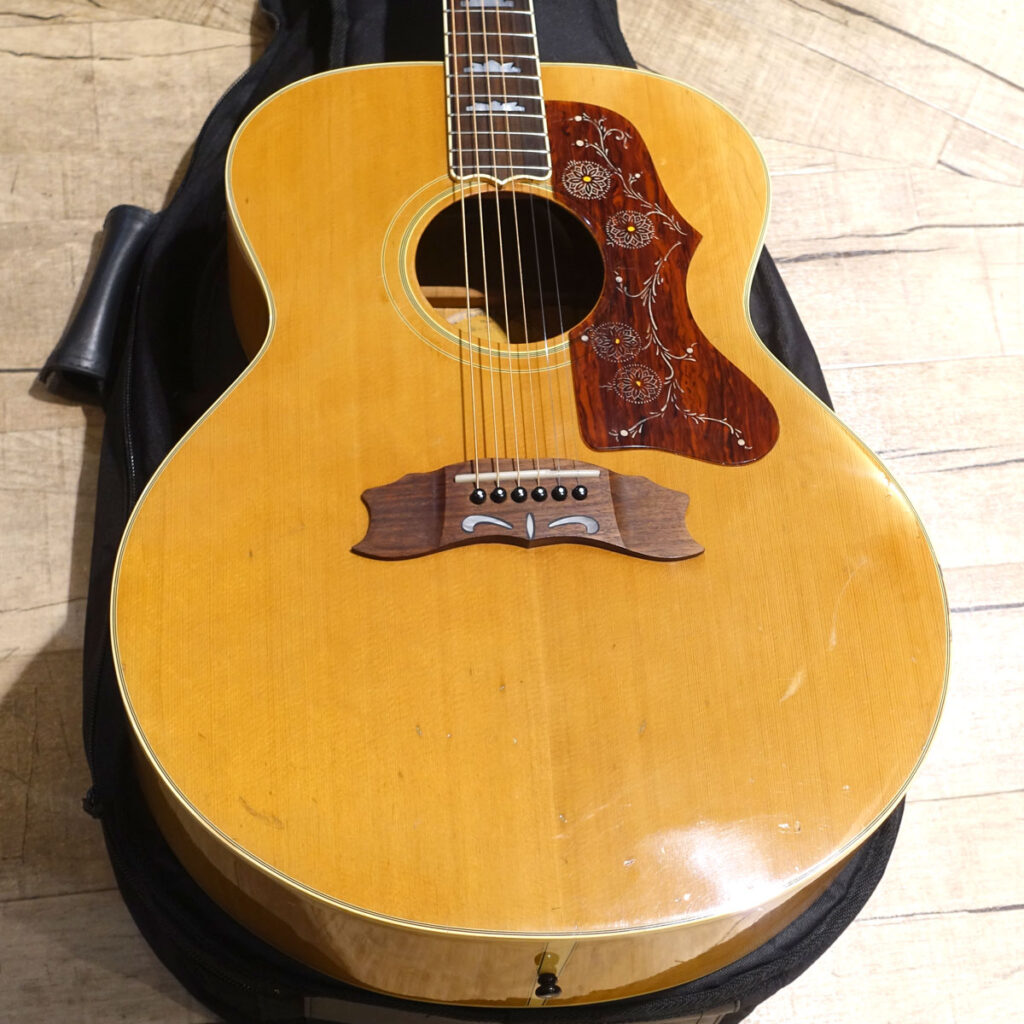 中古】Greco / W-505N Modified【S/N:1800861】 | イシバシ楽器